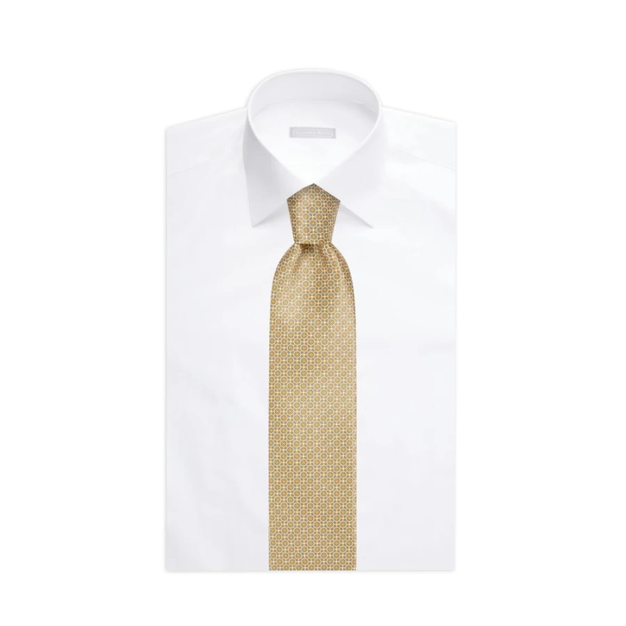 Stefano Ricci Luxury Hand-Printed Silk Tie in Elegant Color 45029_004