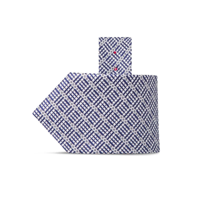 Stefano Ricci Luxury Hand-Printed Silk Tie in Elegant Color 37031_011
