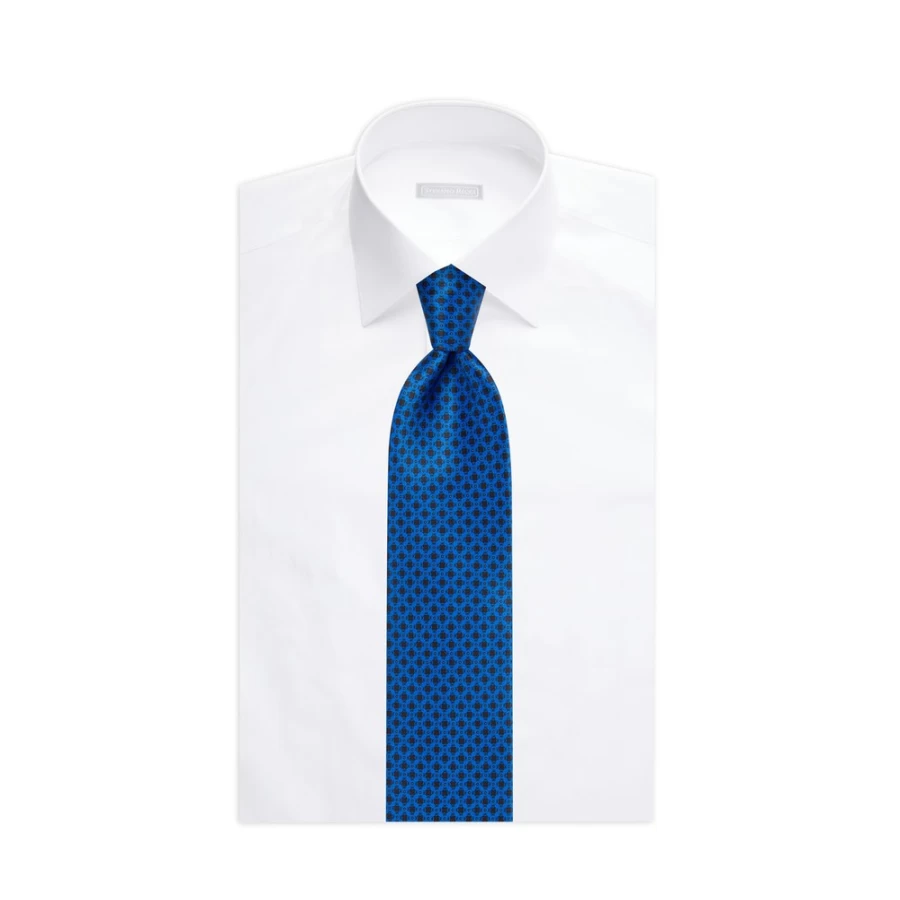 Stefano Ricci Luxury Hand-Printed Silk Tie in Elegant Design