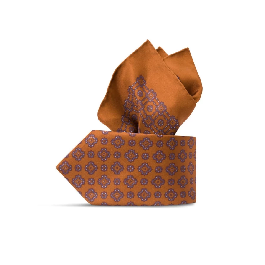 Stefano Ricci Luxury Hand-Printed Silk Tie Set in Elegant Color 41101_009