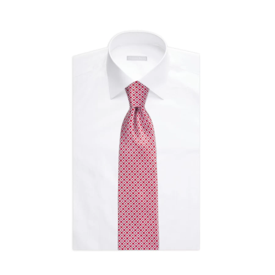Stefano Ricci Luxury Hand-Printed Silk Tie in Elegant Color 47031_008