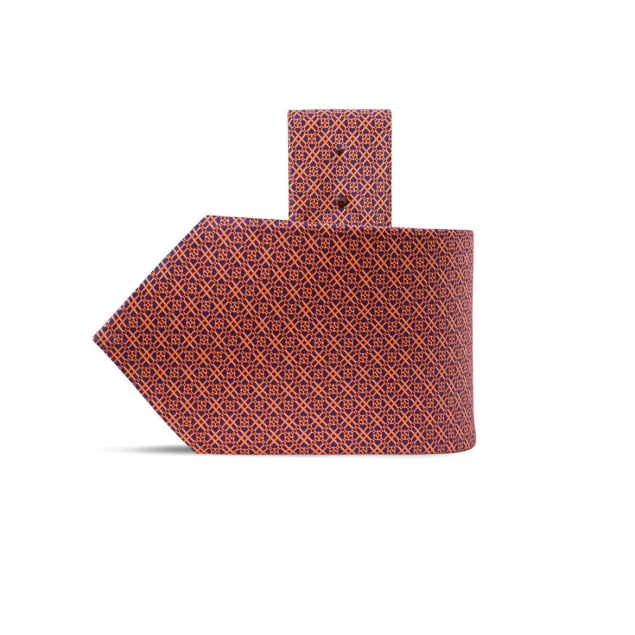 "Stefano Ricci Luxury Long Silk Tie Hand-Printed in Elegant Design"