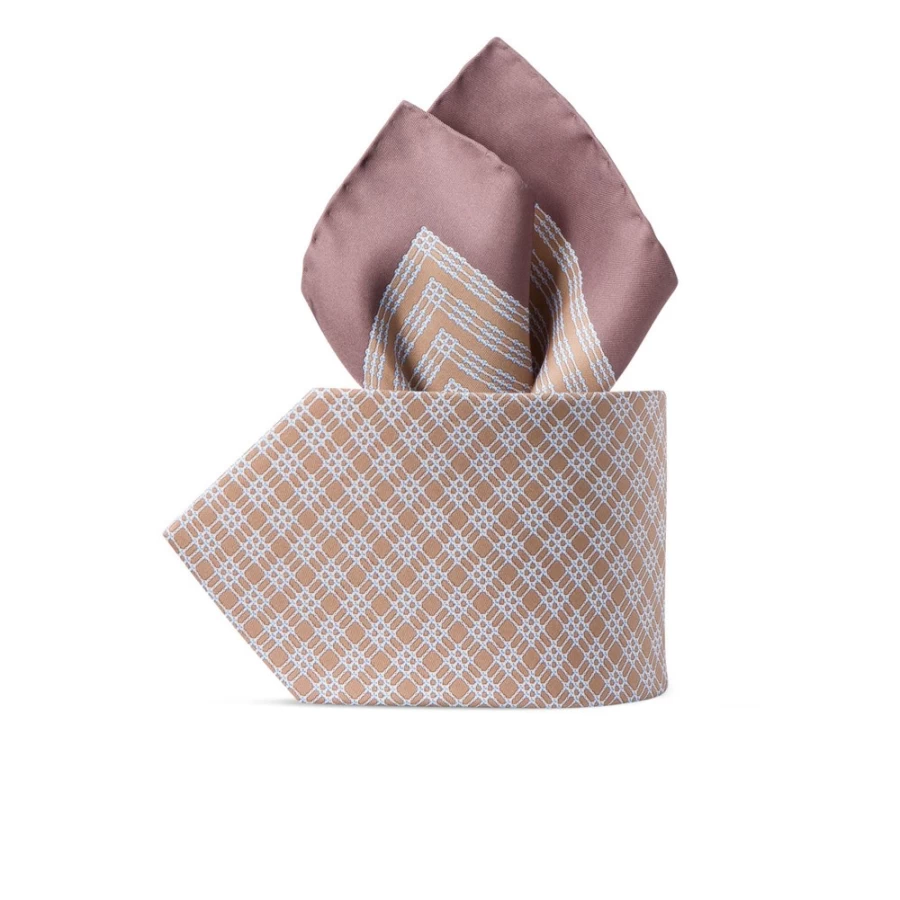 Stefano Ricci Luxury Hand-Printed Silk Tie Set in Elegant Color 39103_009