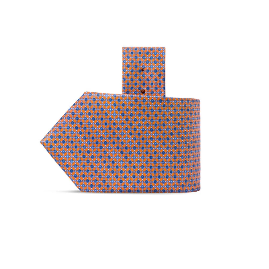 Stefano Ricci Luxury Hand-Printed Silk Tie in Elegant Color 21034_008
