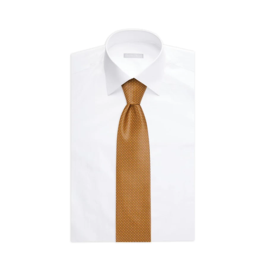 Stefano Ricci Luxury Hand-Printed Silk Tie for Men - Premium Italian Designer Necktie