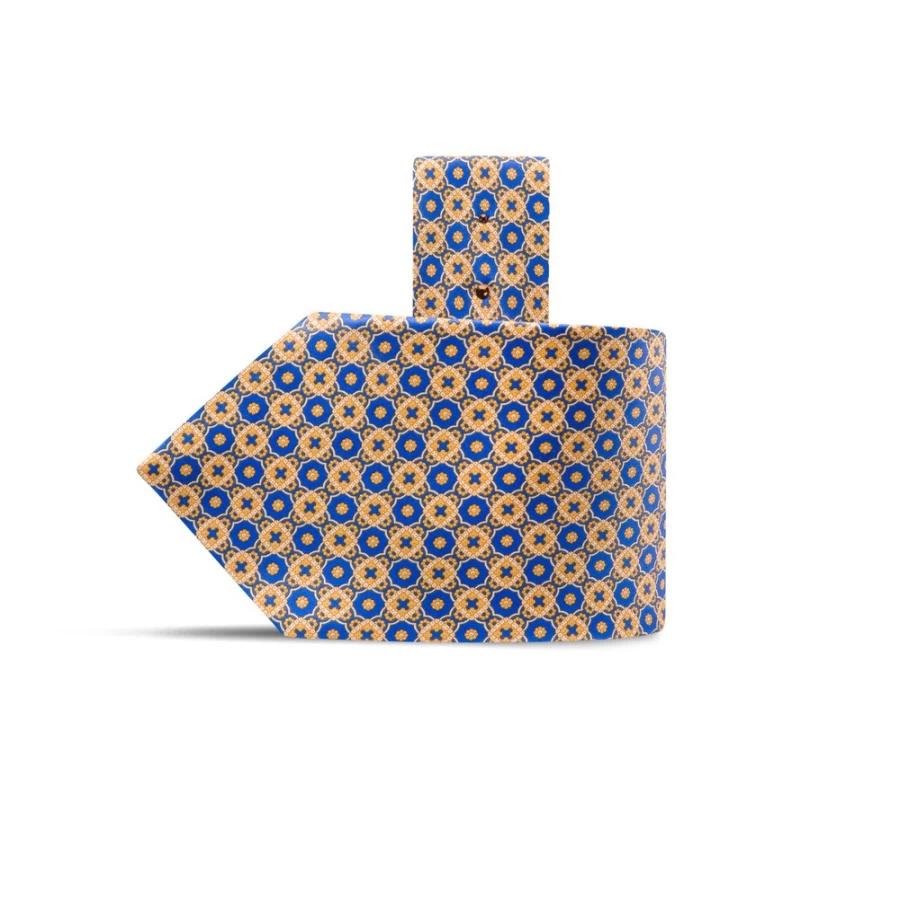 Stefano Ricci Luxury Hand-Printed Silk Tie in Elegant Color 39001_006