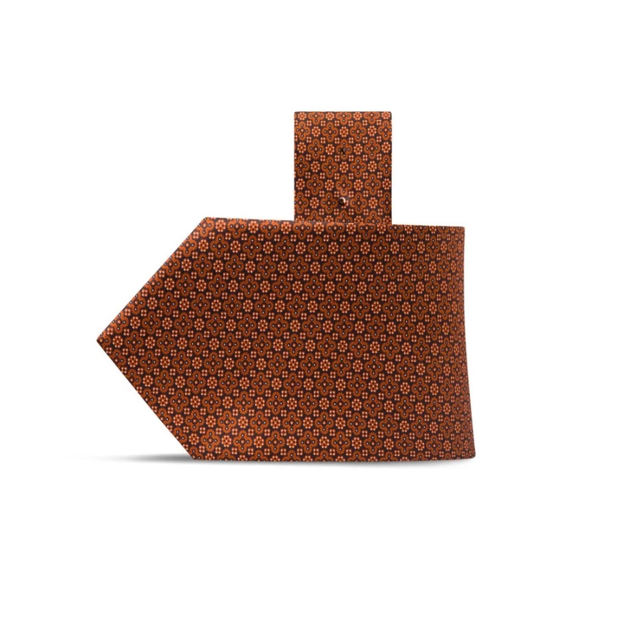 Stefano Ricci Luxury Hand-Printed Silk Tie in Elegant Color 45042_009