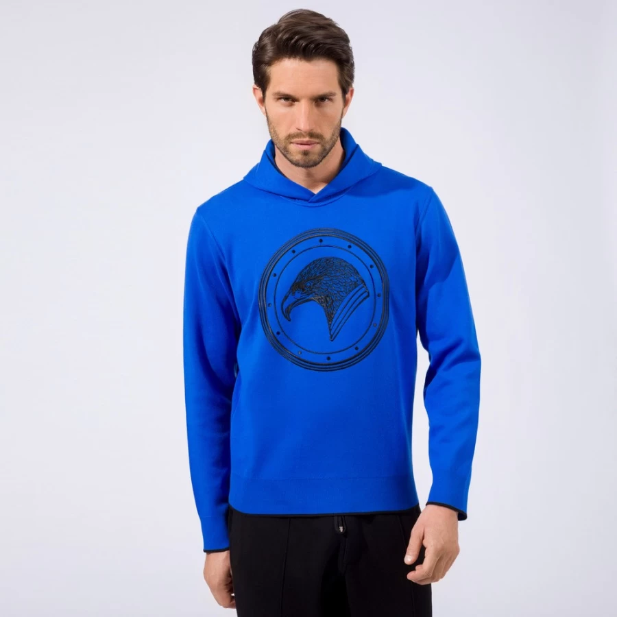 Stefano Ricci Men's Premium Hooded Jogging Suit Sweatshirt in F20108_4170 Color