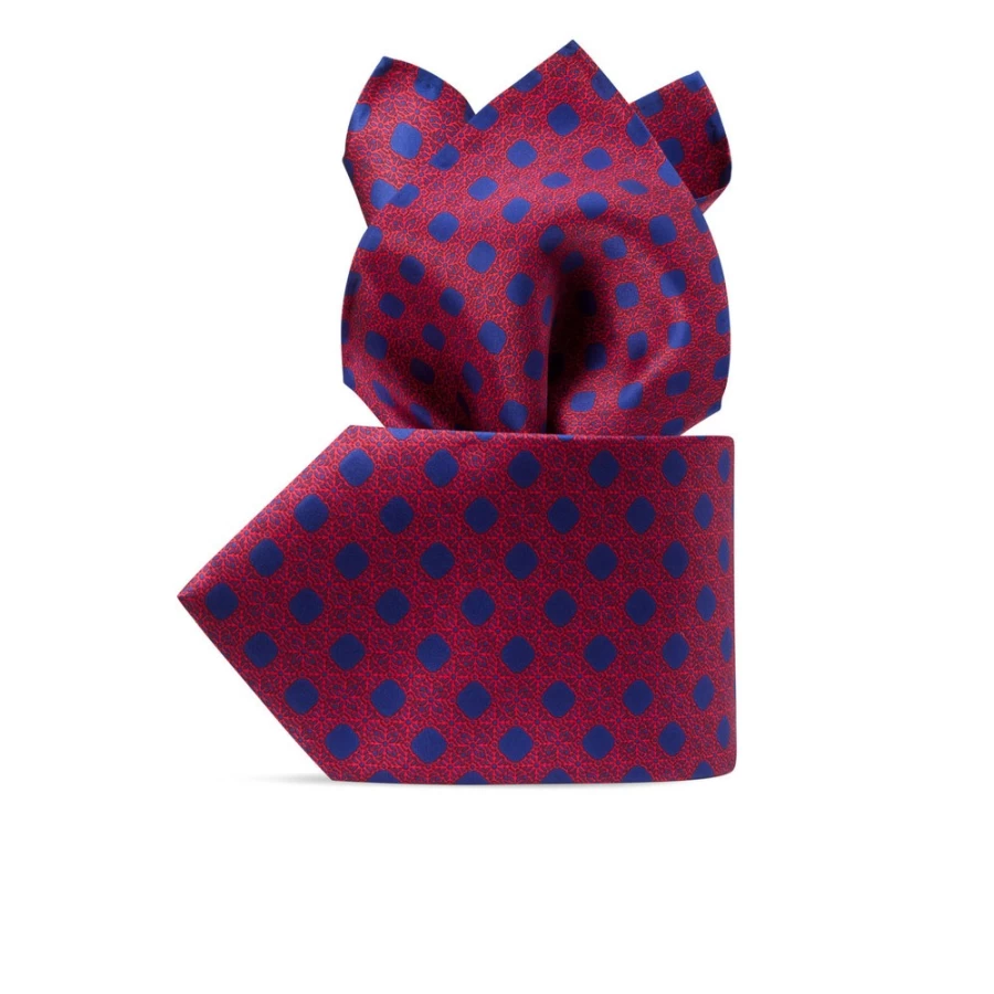 Stefano Ricci Luxury Hand-Printed Silk Tie Set in Elegant Design - Color 43029_003
