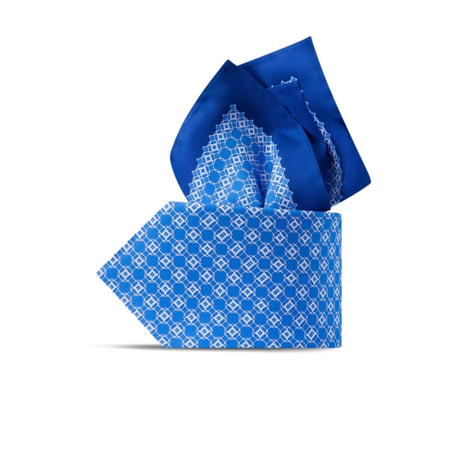 Stefano Ricci Luxury Hand-Printed Silk Tie Set in Elegant Color 43102_007