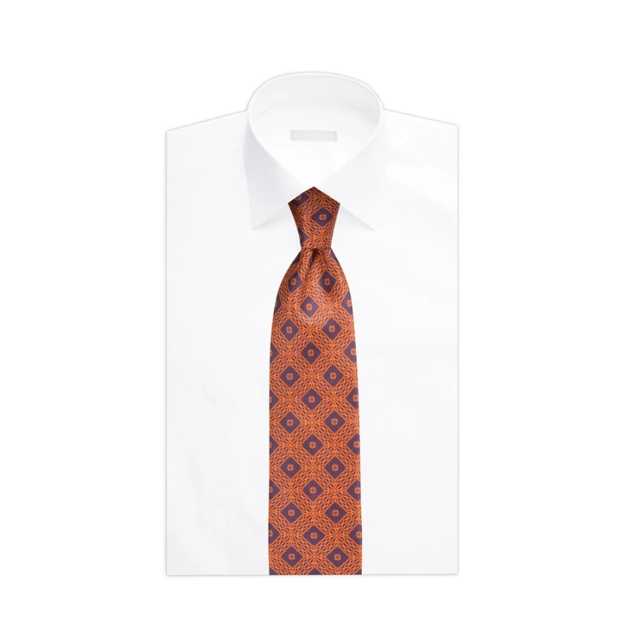 Stefano Ricci Luxury Hand-Printed Silk Tie in Elegant Color 47001_009