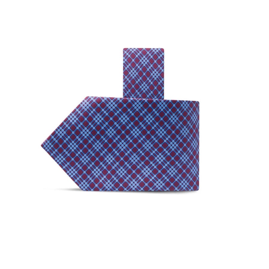 Stefano Ricci Luxury Hand-Printed Silk Tie in Elegant Design