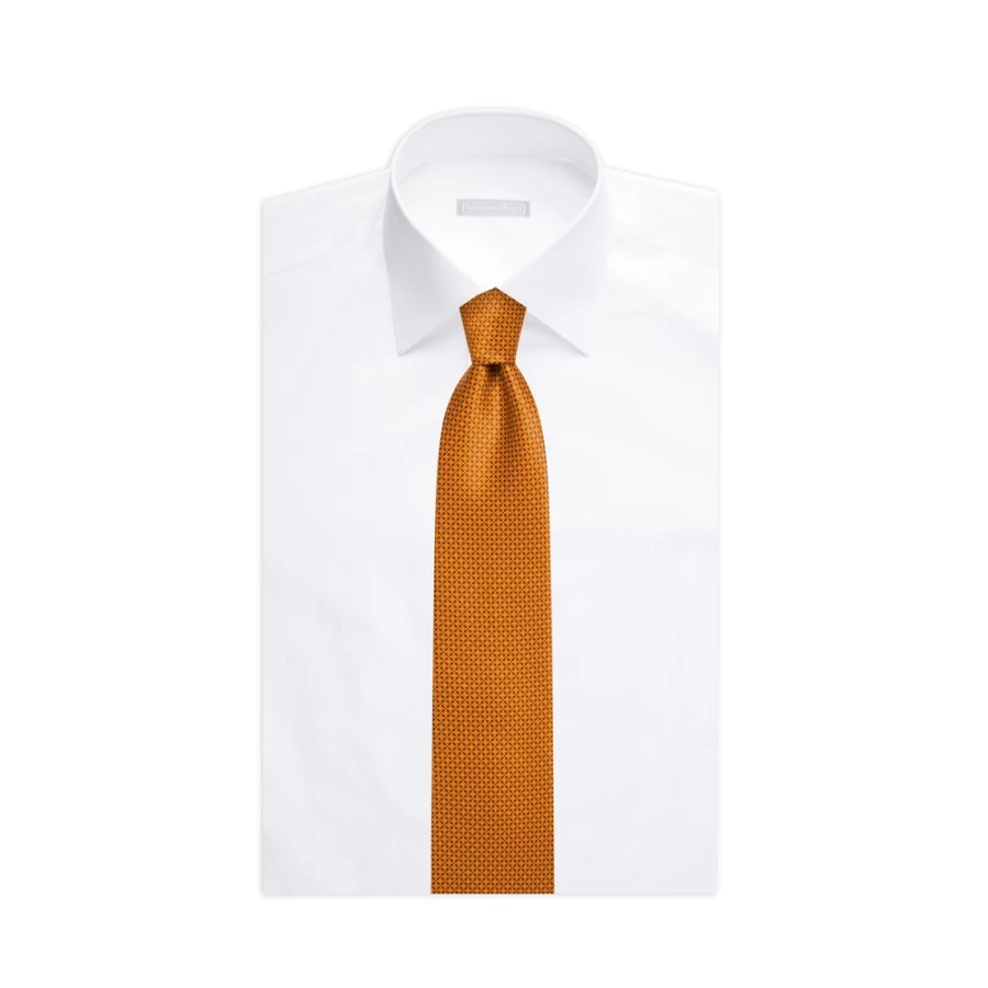 "Stefano Ricci Luxury Hand-Printed Silk Tie for Men – Premium Italian Designer Necktie"